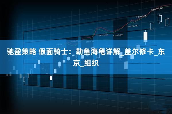 驰盈策略 假面骑士：勒鱼海龟详解_盖尔修卡_东京_组织