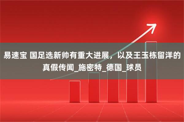 易速宝 国足选新帅有重大进展，以及王玉栋留洋的真假传闻_施密特_德国_球员