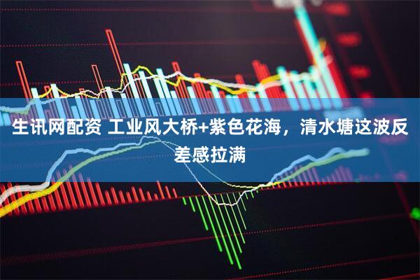 生讯网配资 工业风大桥+紫色花海，清水塘这波反差感拉满